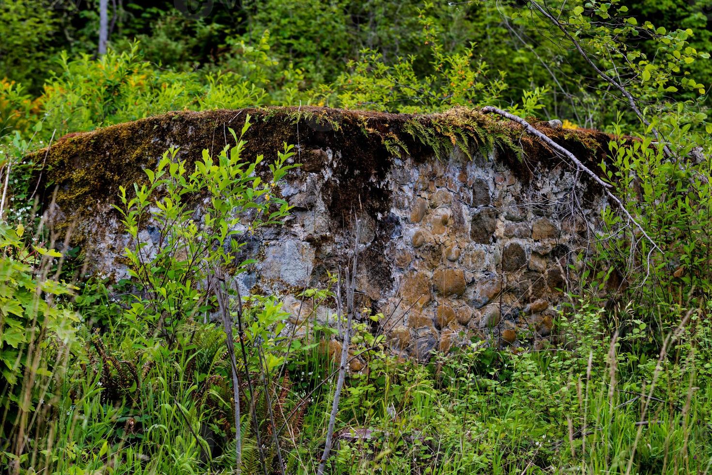 100 year old stone wall in the overgrown forest photo