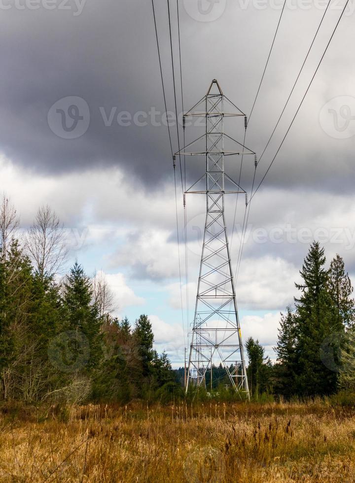 Power line towers cutting through the trees in a forest with dark clouds photo