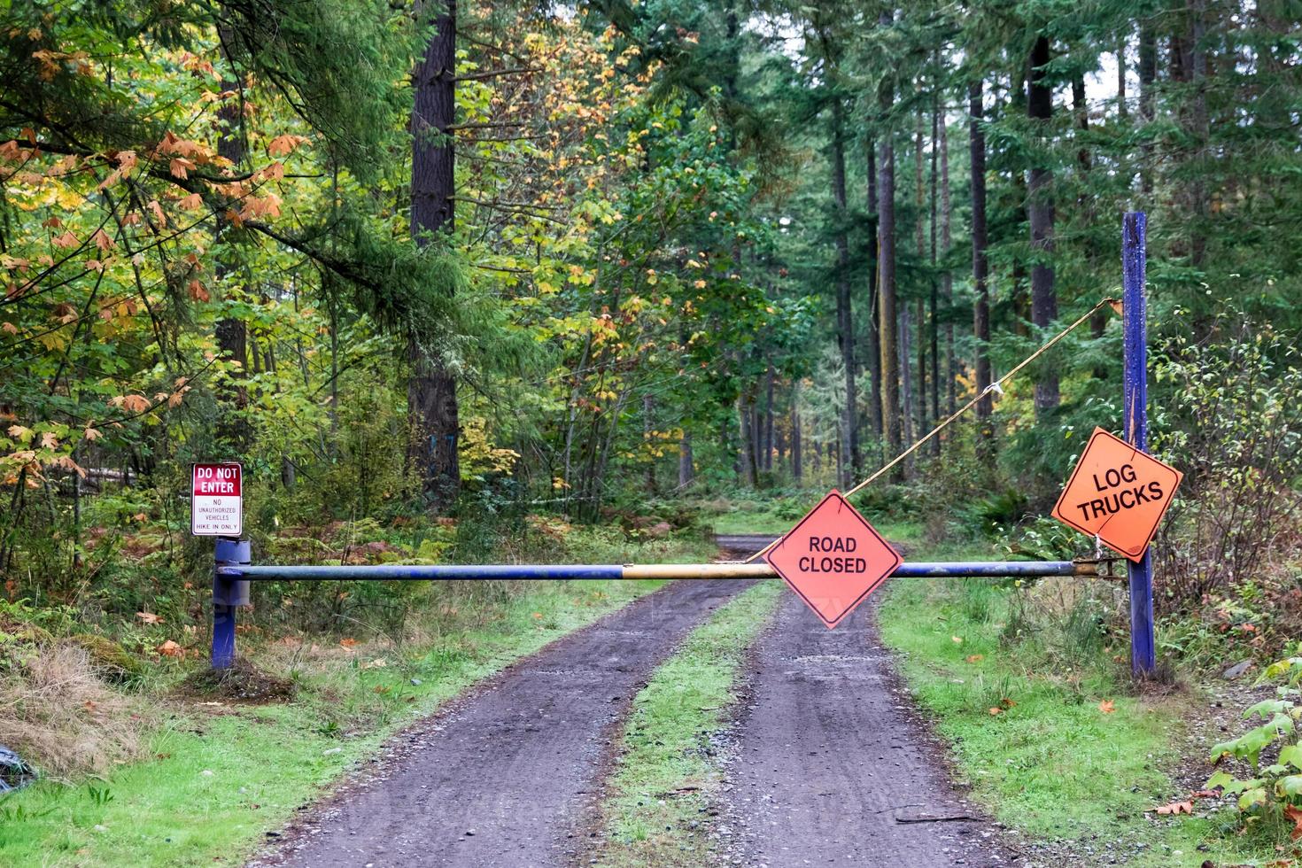 Road closed do not enter log trucks signs photo