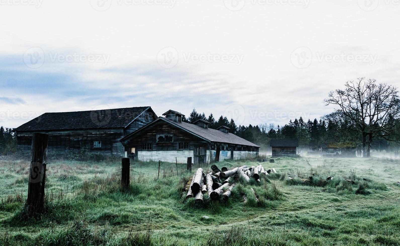 Abandoned egg farm on a cold misty morning photo