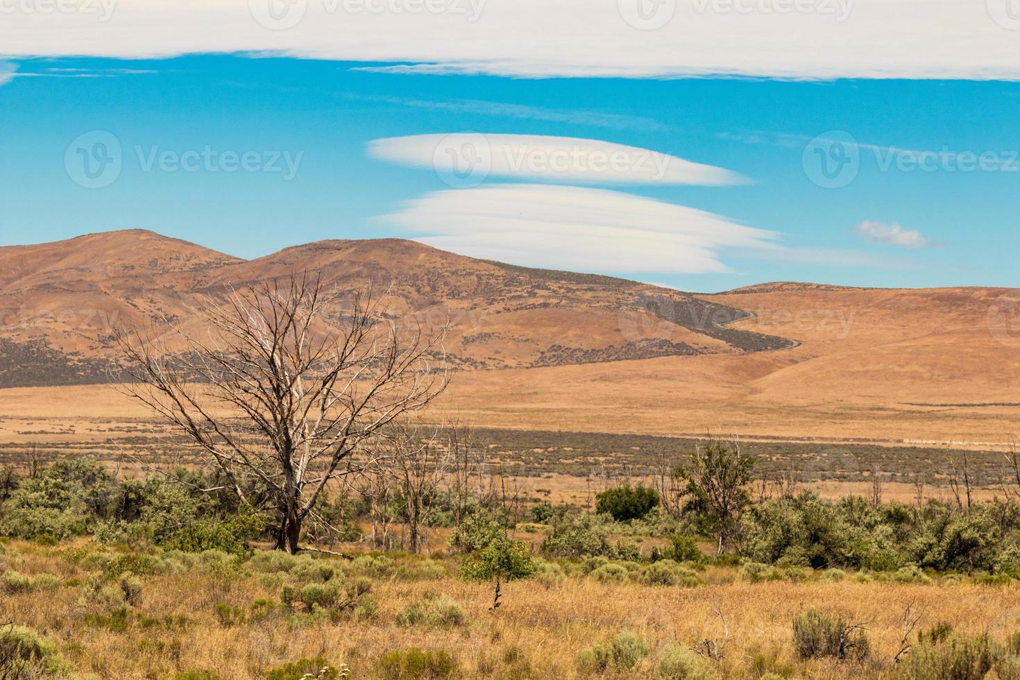 Eastern Washington Palouse vast expanse desert view with blue sky and clouds photo