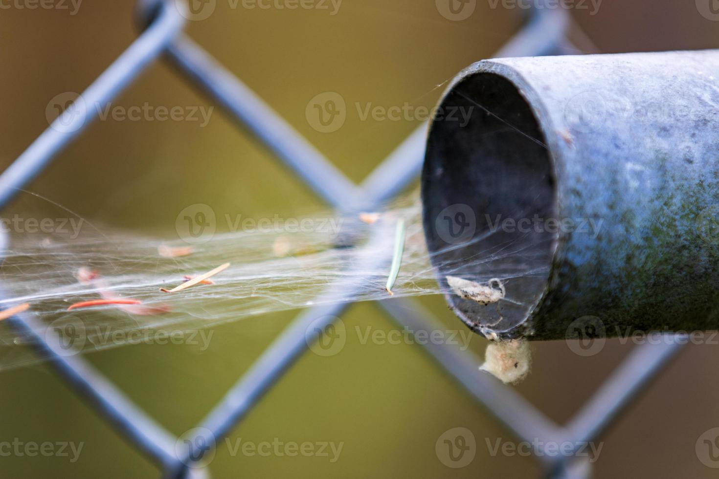 Spider web on a broken chain link fence photo
