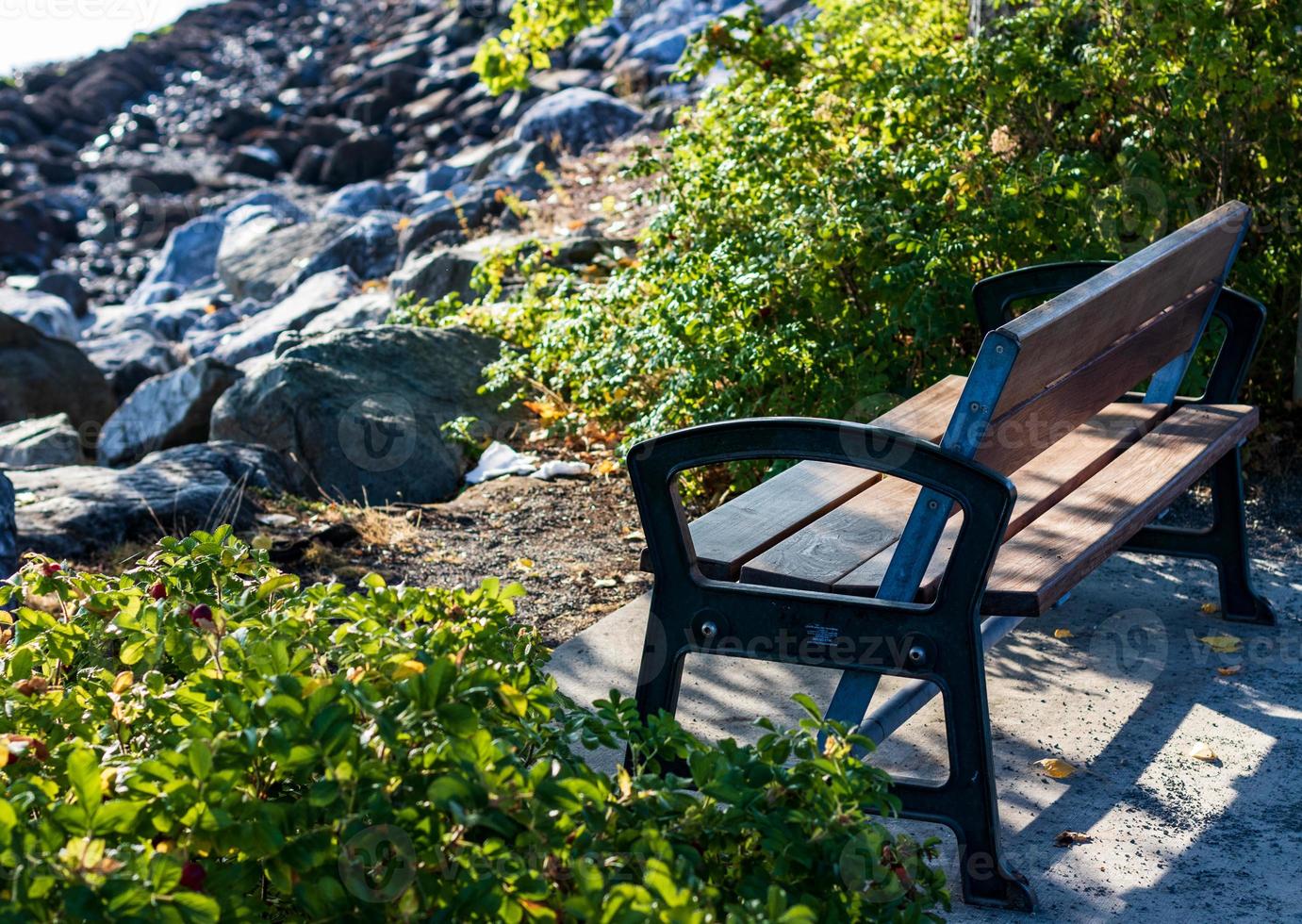 Park bench next to a hedge photo
