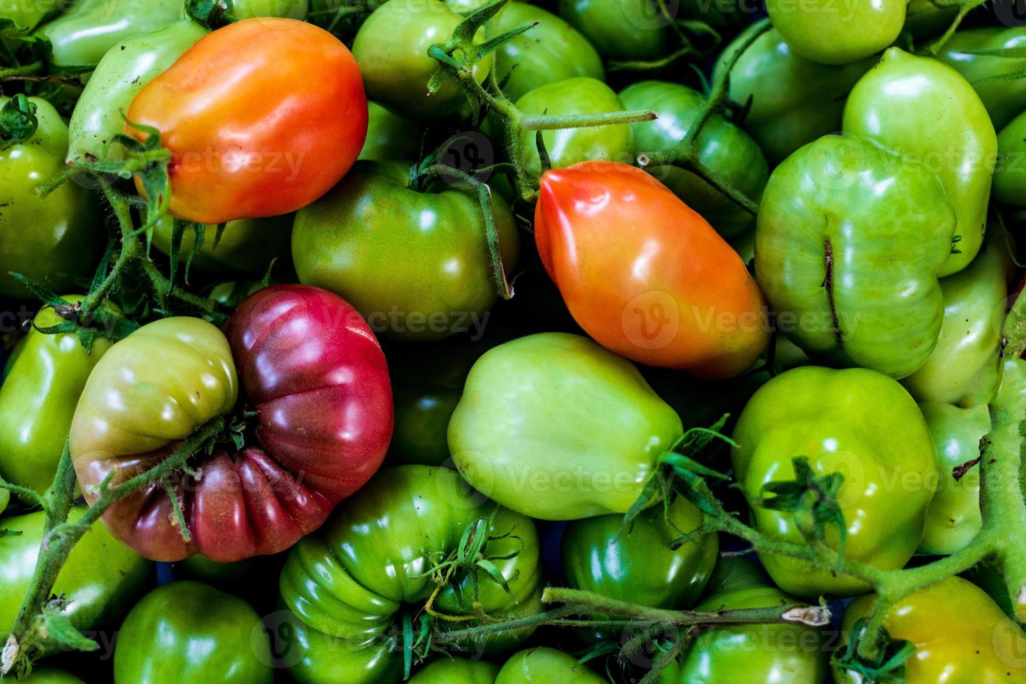 Pile of various tomatoes photo