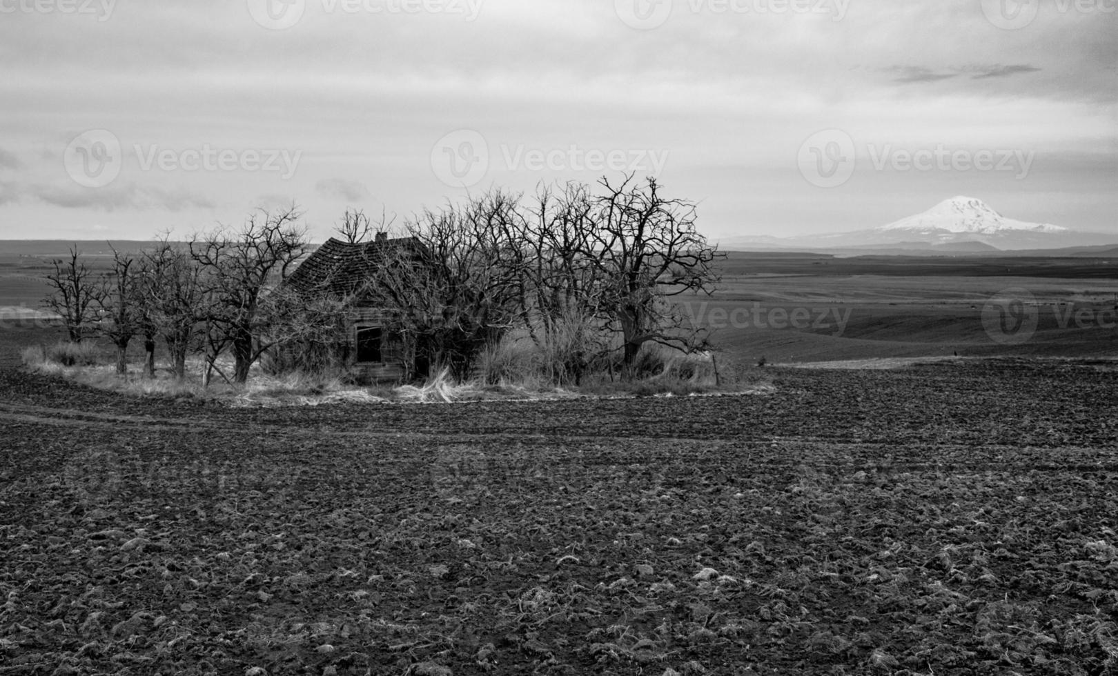 Old abandoned farm house surrounded by trees with a mountain in the background photo