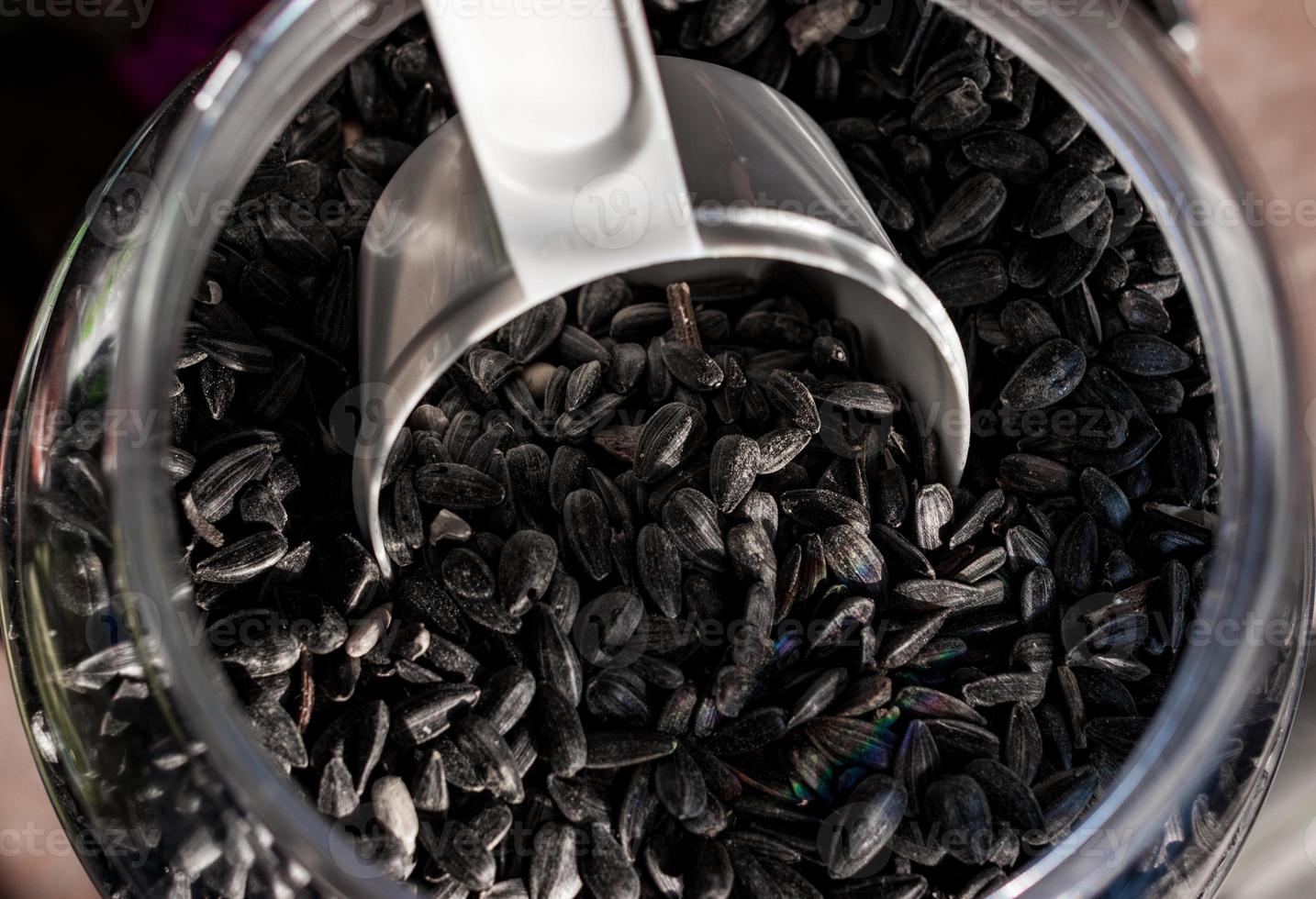 Bird feed sunflower seeds in a container photo