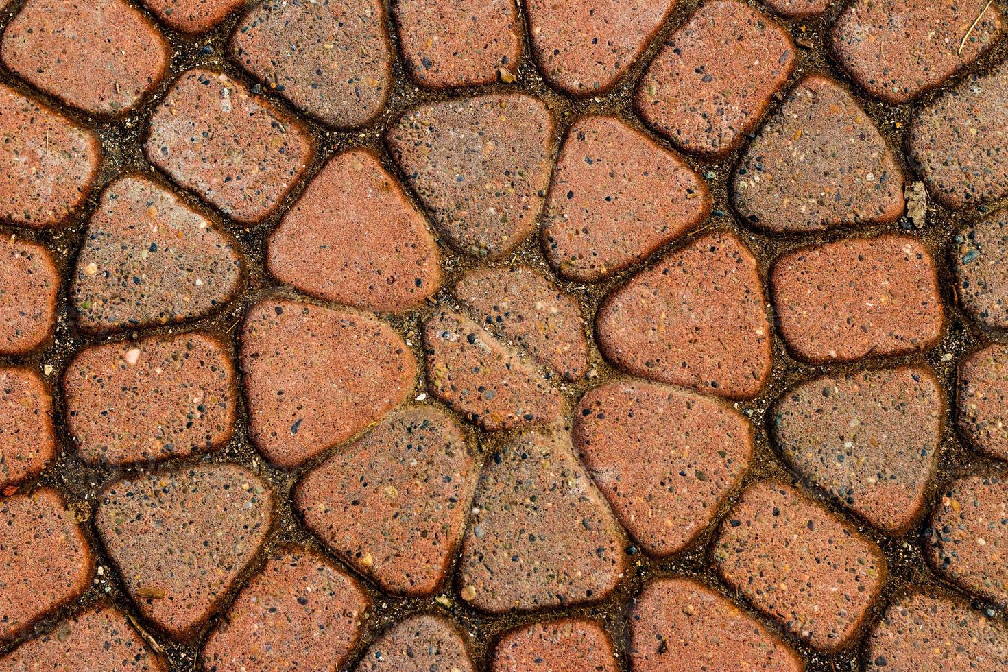 Red circular paved bricks with dirty moss photo