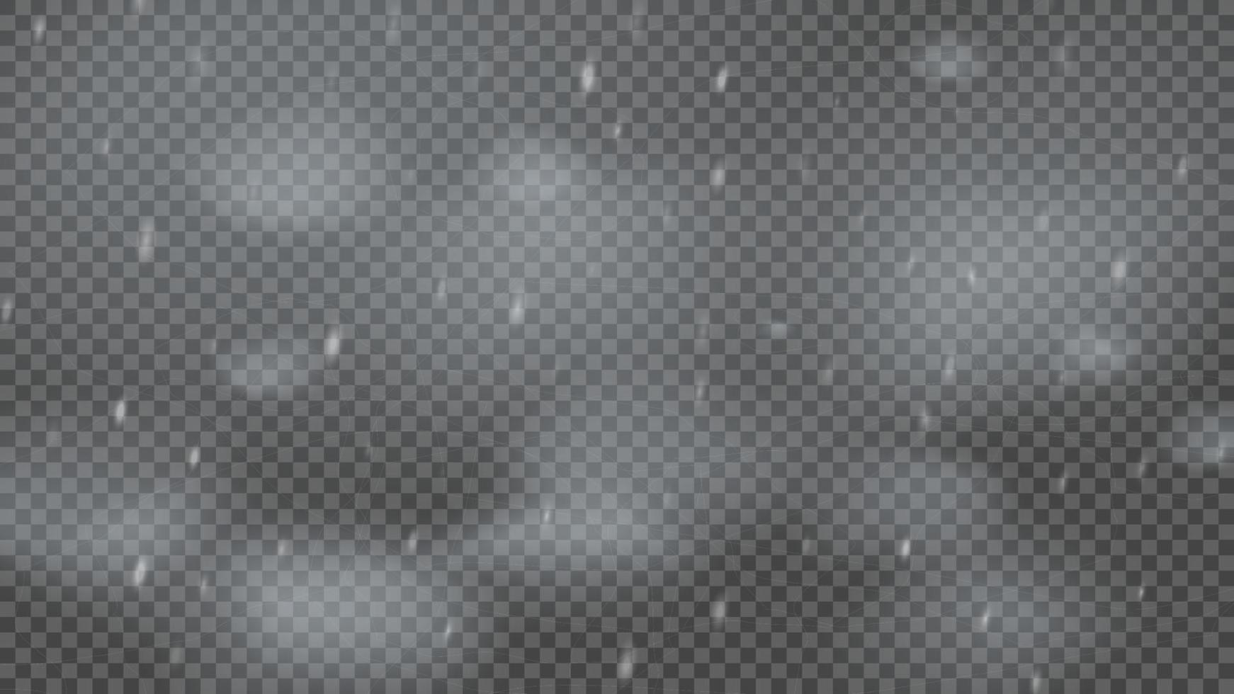 Snowstorm and falling snowflakes vector