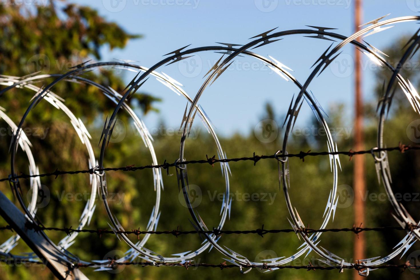 Razor wire fence shining in the sun photo