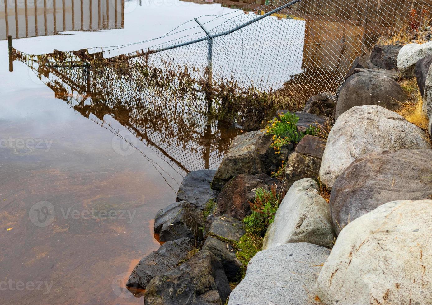 Fence submerged in tidal water with grass and debris photo