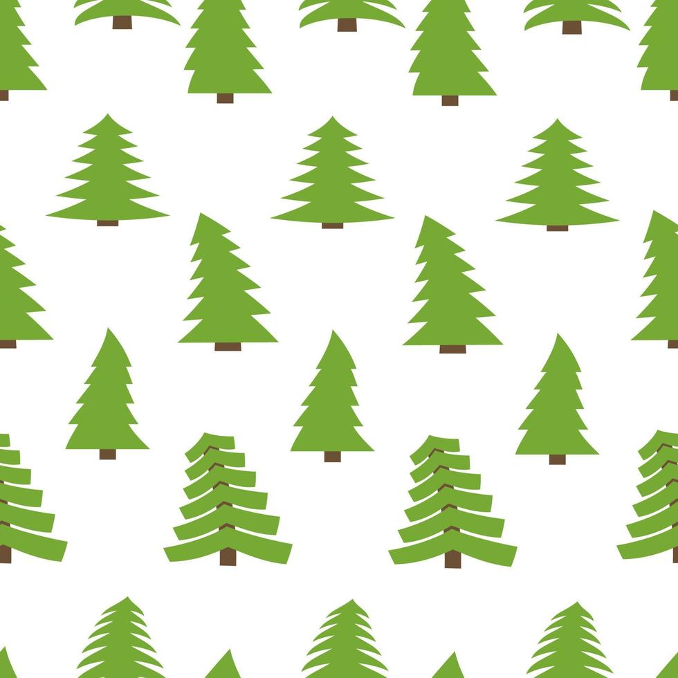 Seamless pattern with spruces on white background. Vector illustration