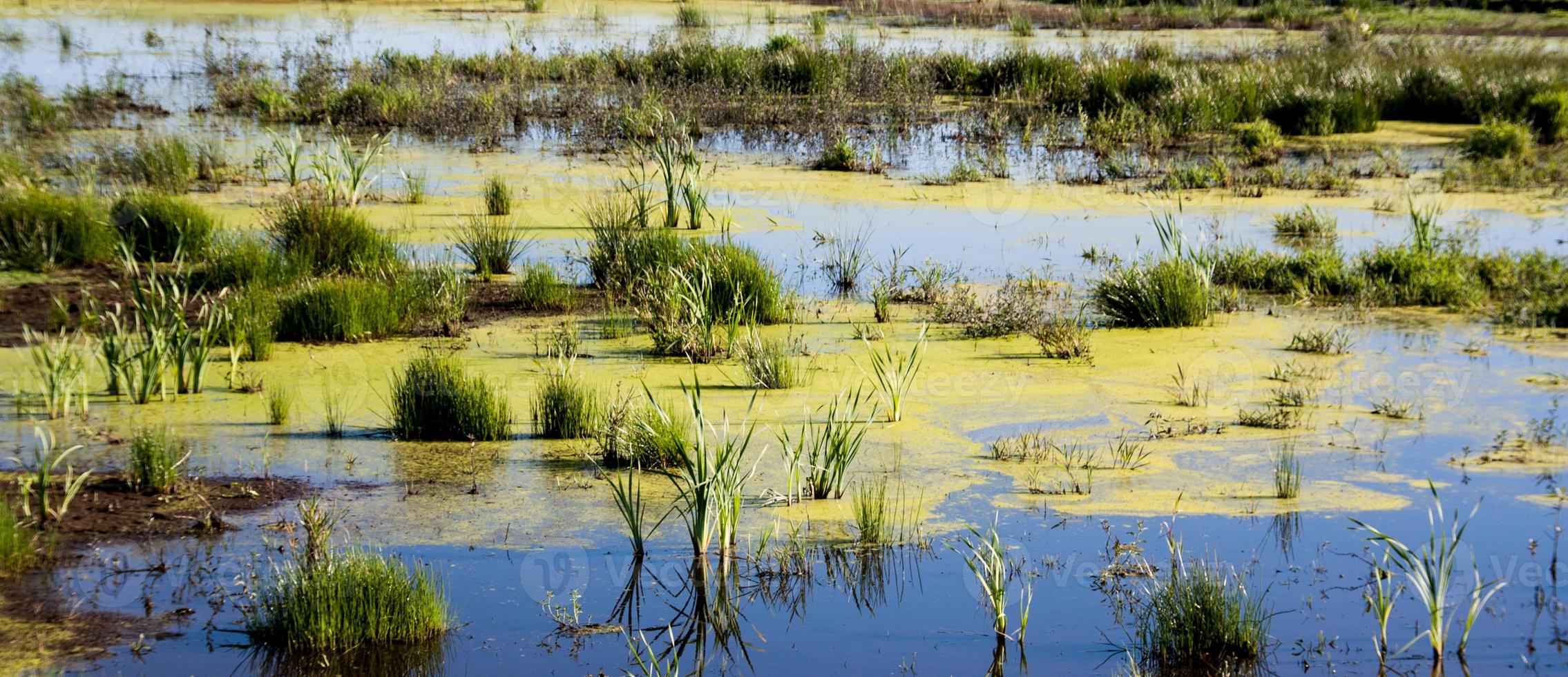 Delta inlet at low tide photo
