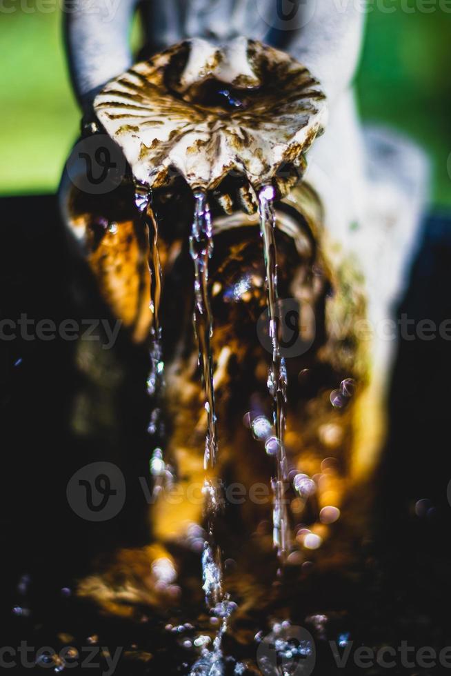 Abstract mossy bird bath statue close up photo