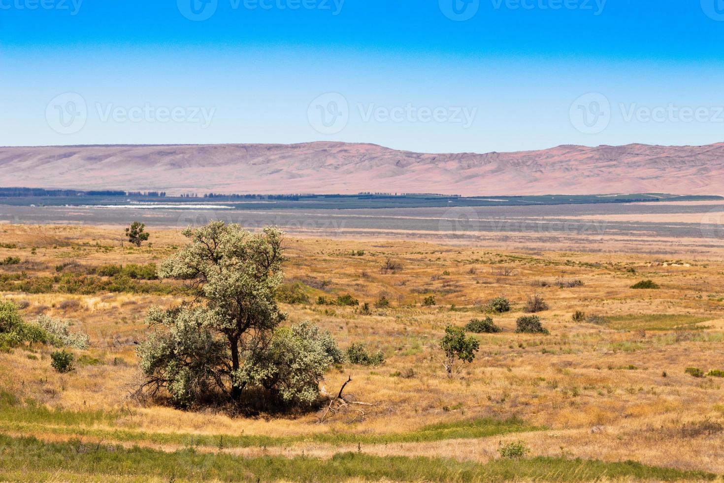 Eastern Washington Palouse vast expanse desert view with blue sky and clouds photo