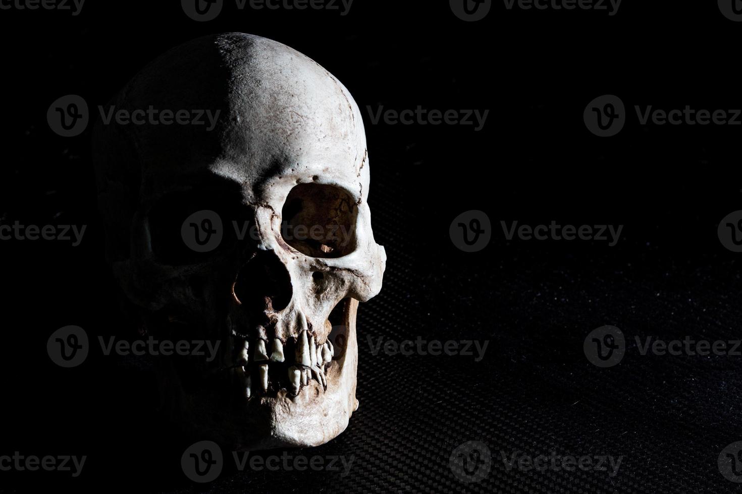 Human skeleton skull head isolated on black photo