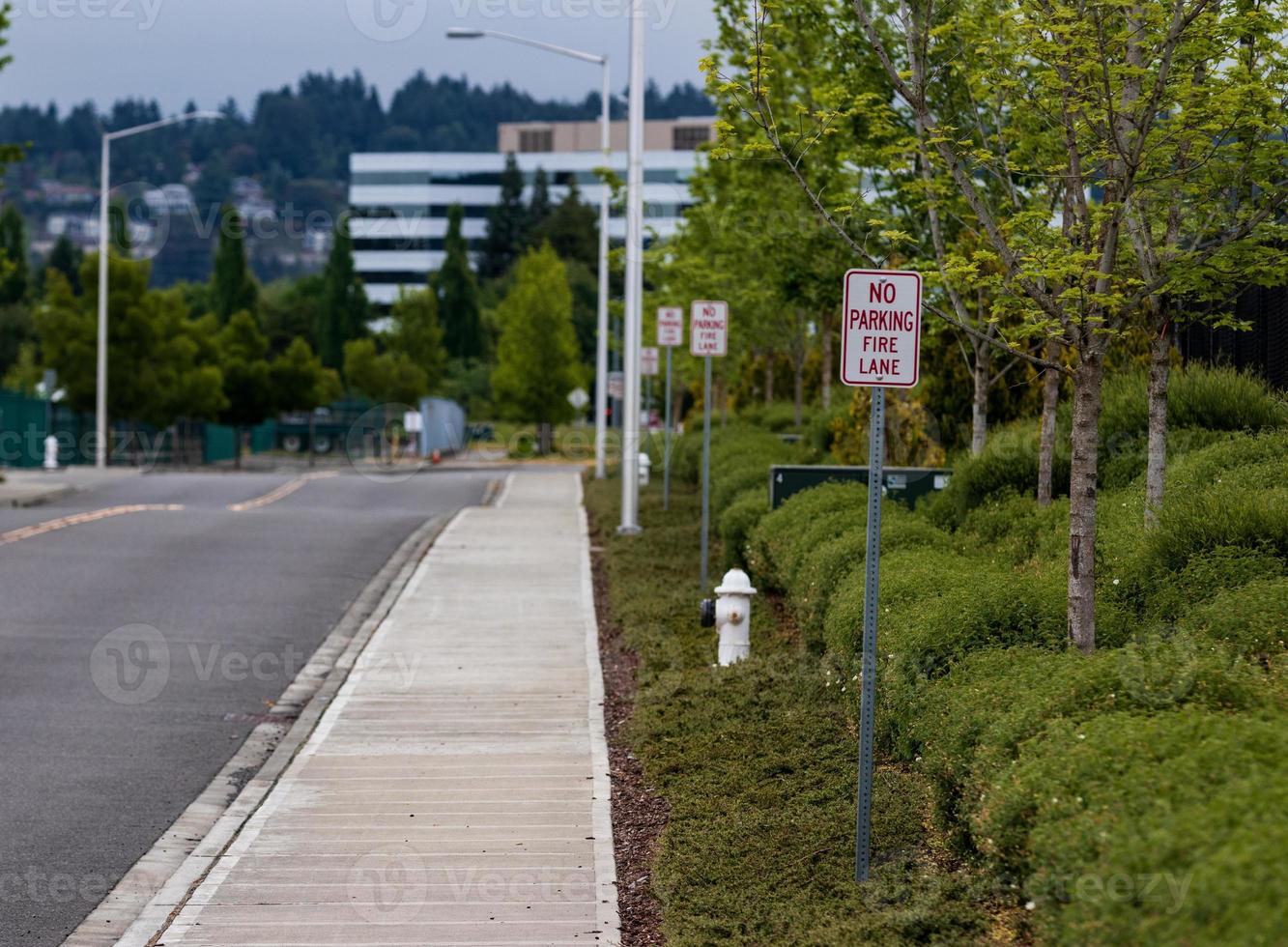 No parking fire lane signs next to a hydrant photo