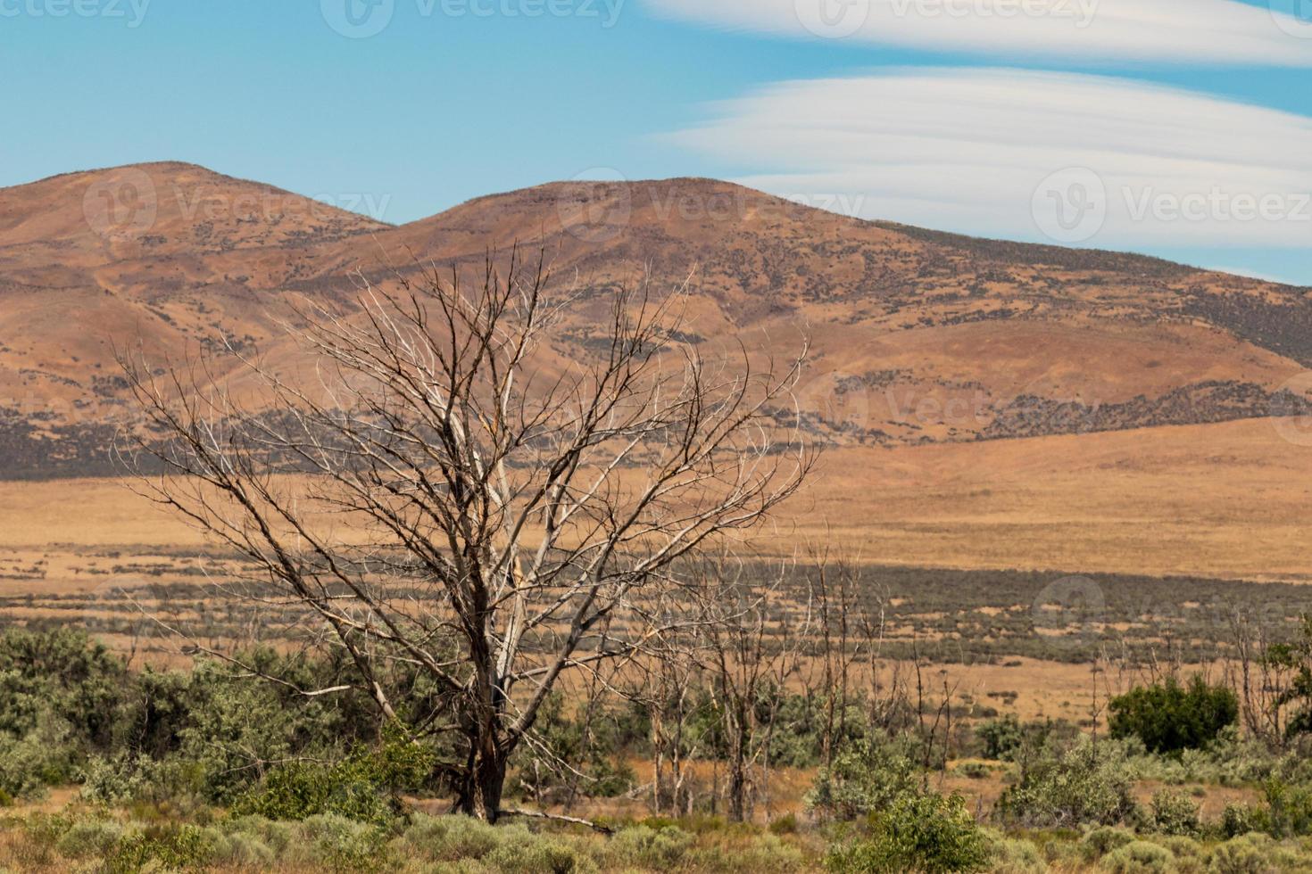 Eastern Washington Palouse vast expanse desert view with blue sky and clouds photo