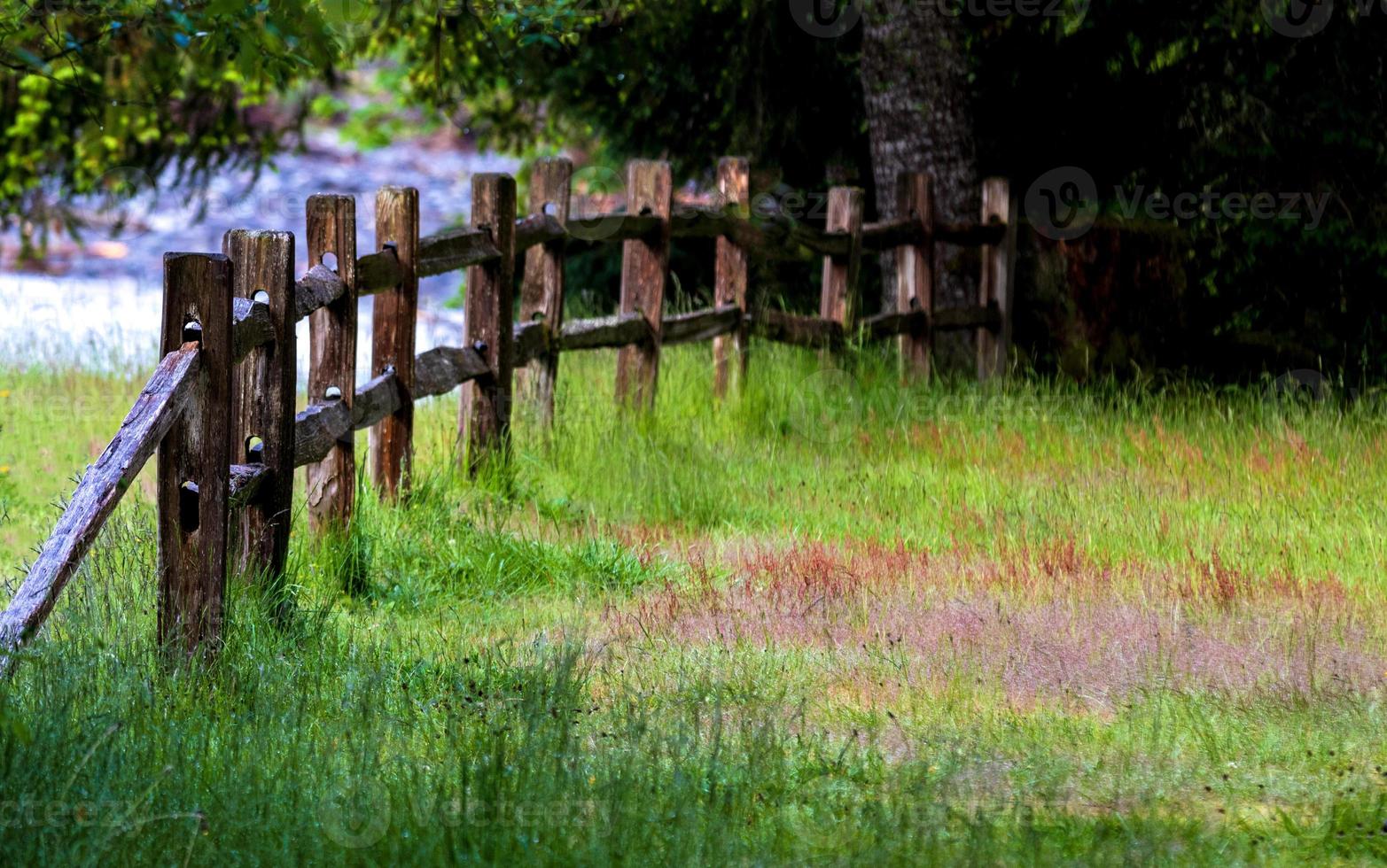 Old wooden country fence in a field with grass photo