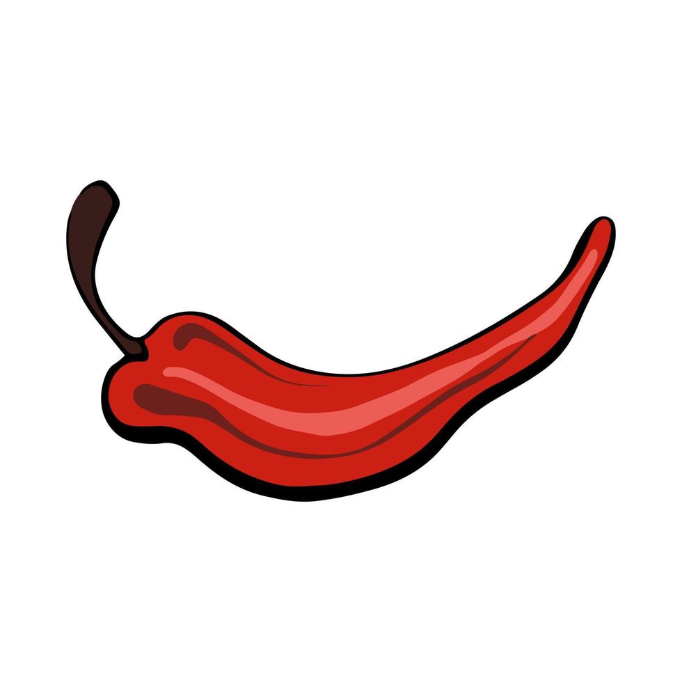 Vector Whole pepper chilli. Vintage hatching color illustration.