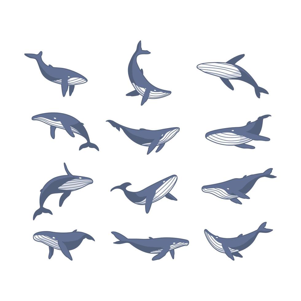 linda colección de iconos de ballenas vector