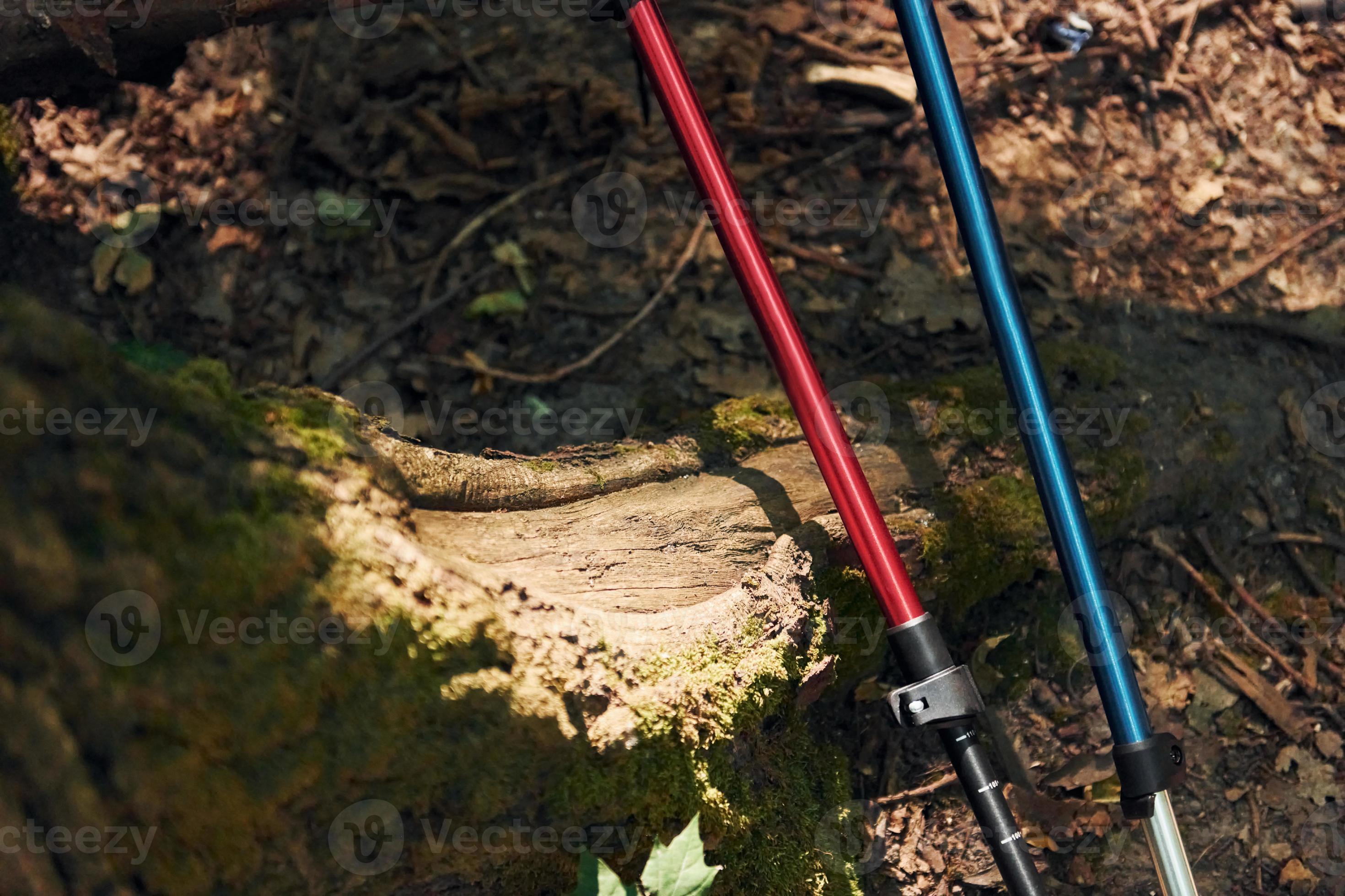 Close up view of touristic equipment that is in the forest 15458749 ...