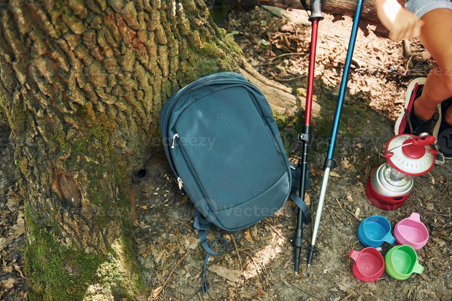 Close up view of touristic equipment that is in the forest photo