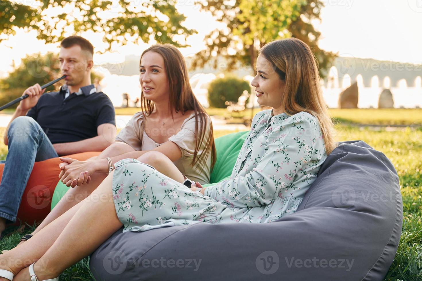 Talking with each other. Group of young people have a party in the park at summer daytime photo