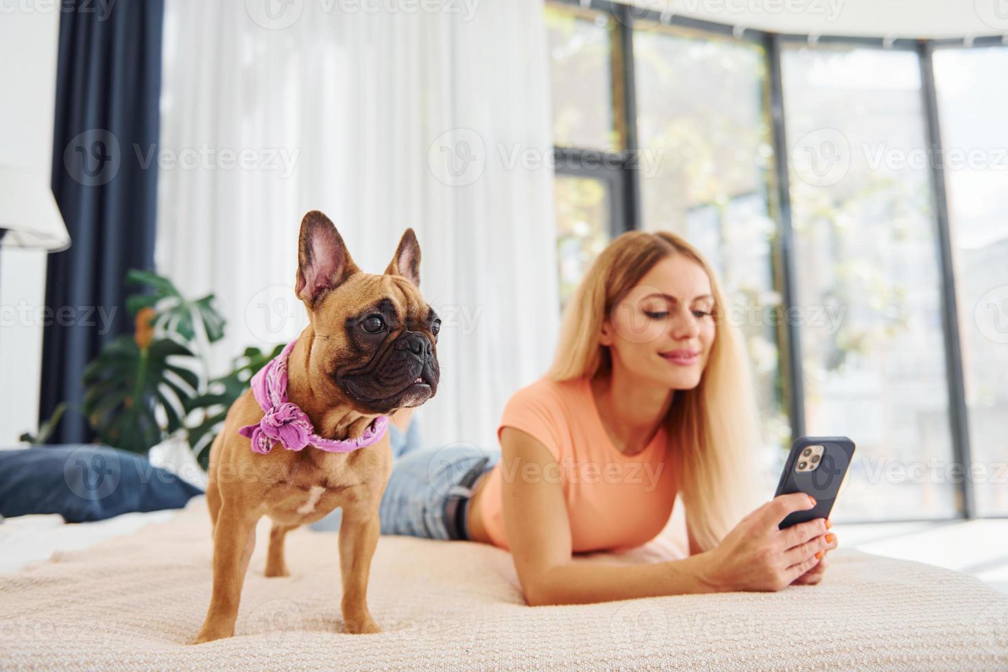 Holding phone. Woman with pug dog is at home at daytime photo