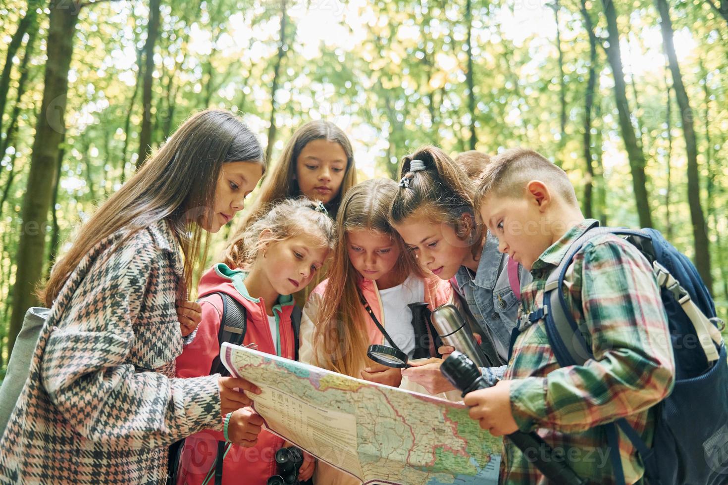 usando mapa. niños en el bosque verde durante el día de verano juntos foto