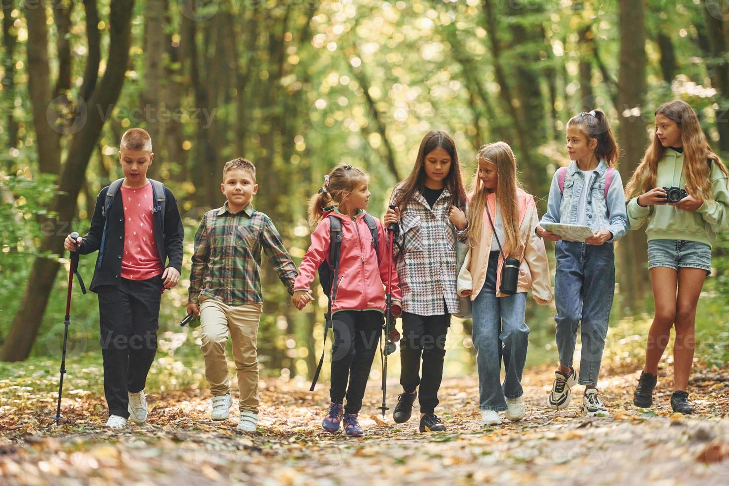 In green forest. Kids having a walk outdoors at summer daytime together photo