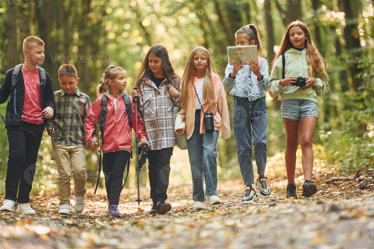 Walking together. Kids in green forest at summer daytime photo