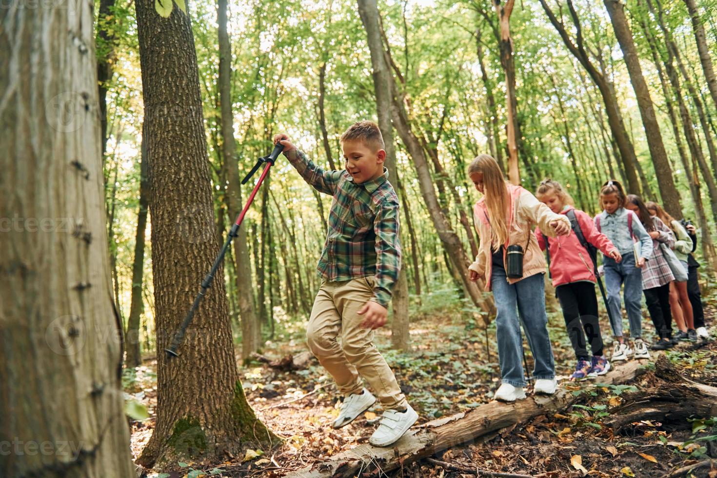 Walking on the log. Kids in green forest at summer daytime together photo