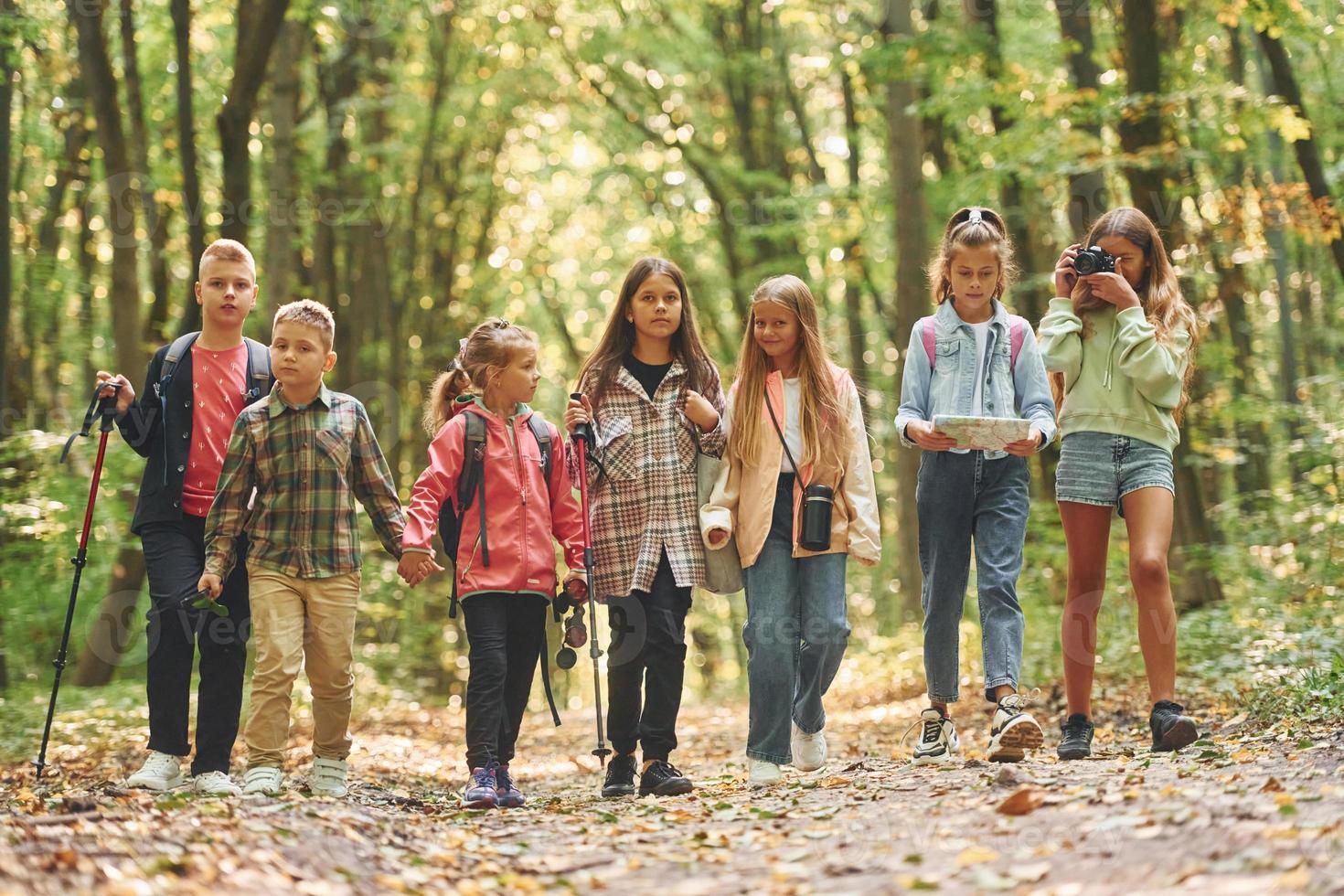 In green forest. Kids having a walk outdoors at summer daytime together photo