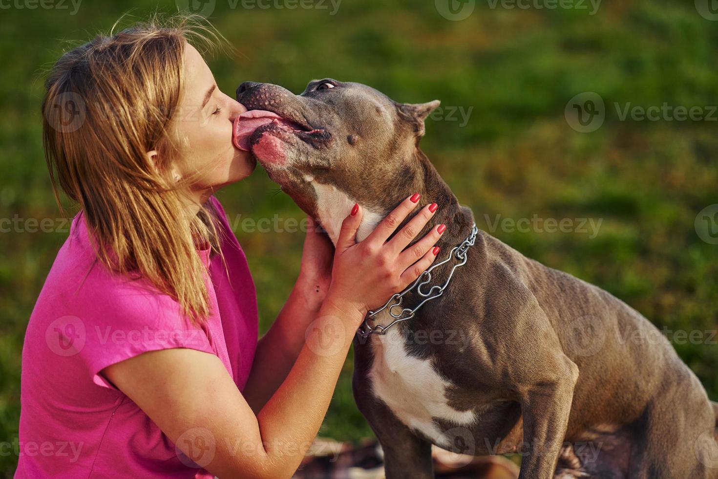 Outdoors on the field. Woman in casual clothes is with pit bull photo