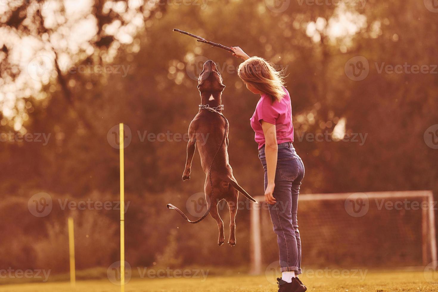 On sportive field. Woman in casual clothes is with pit bull outdoors photo