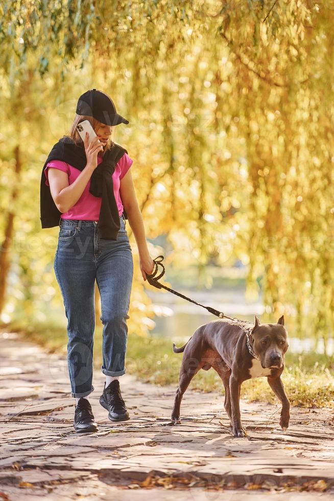 Yellow leaves at background. Woman in casual clothes is with pit bull outdoors photo