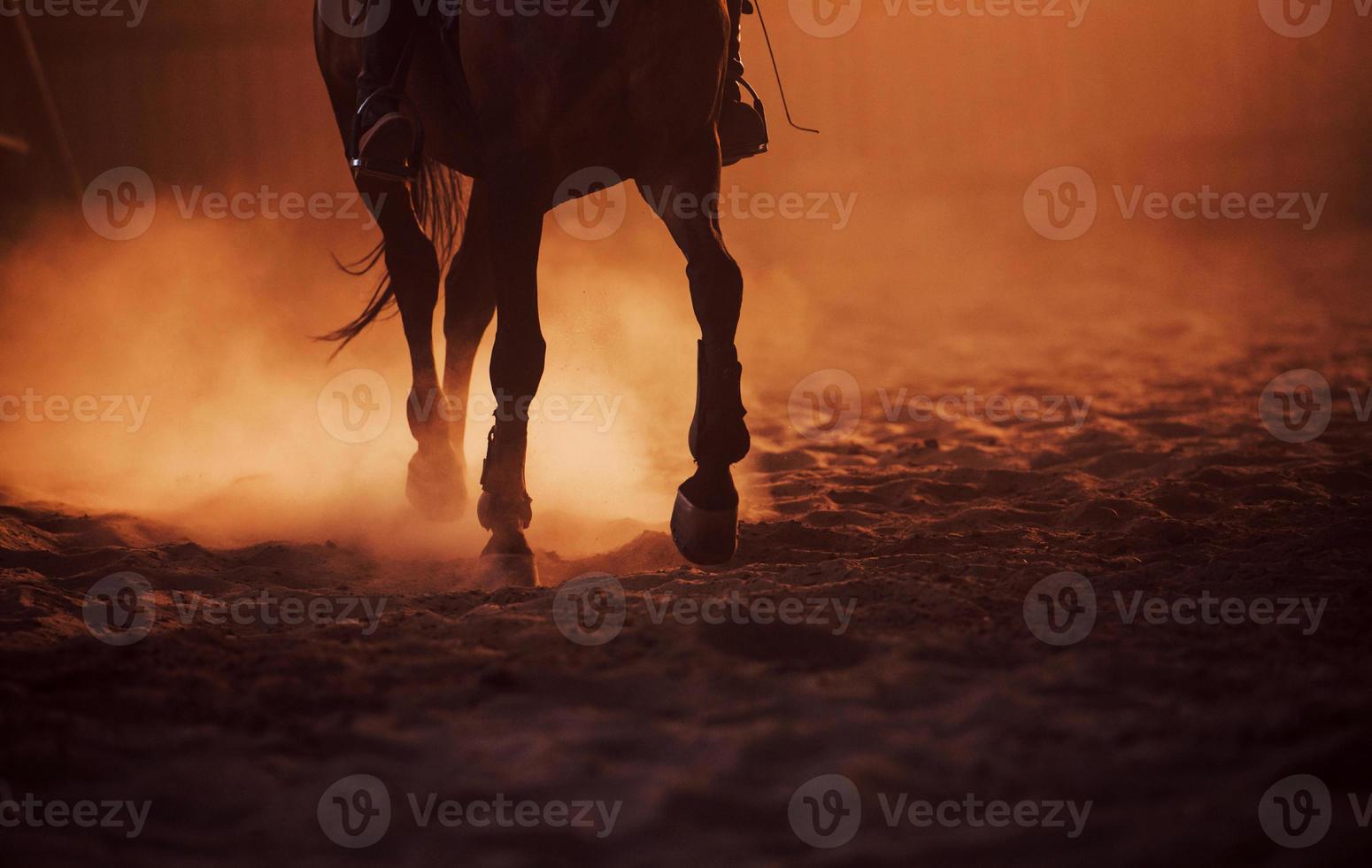 Majestic image of horse silhouette with rider on sunset background photo