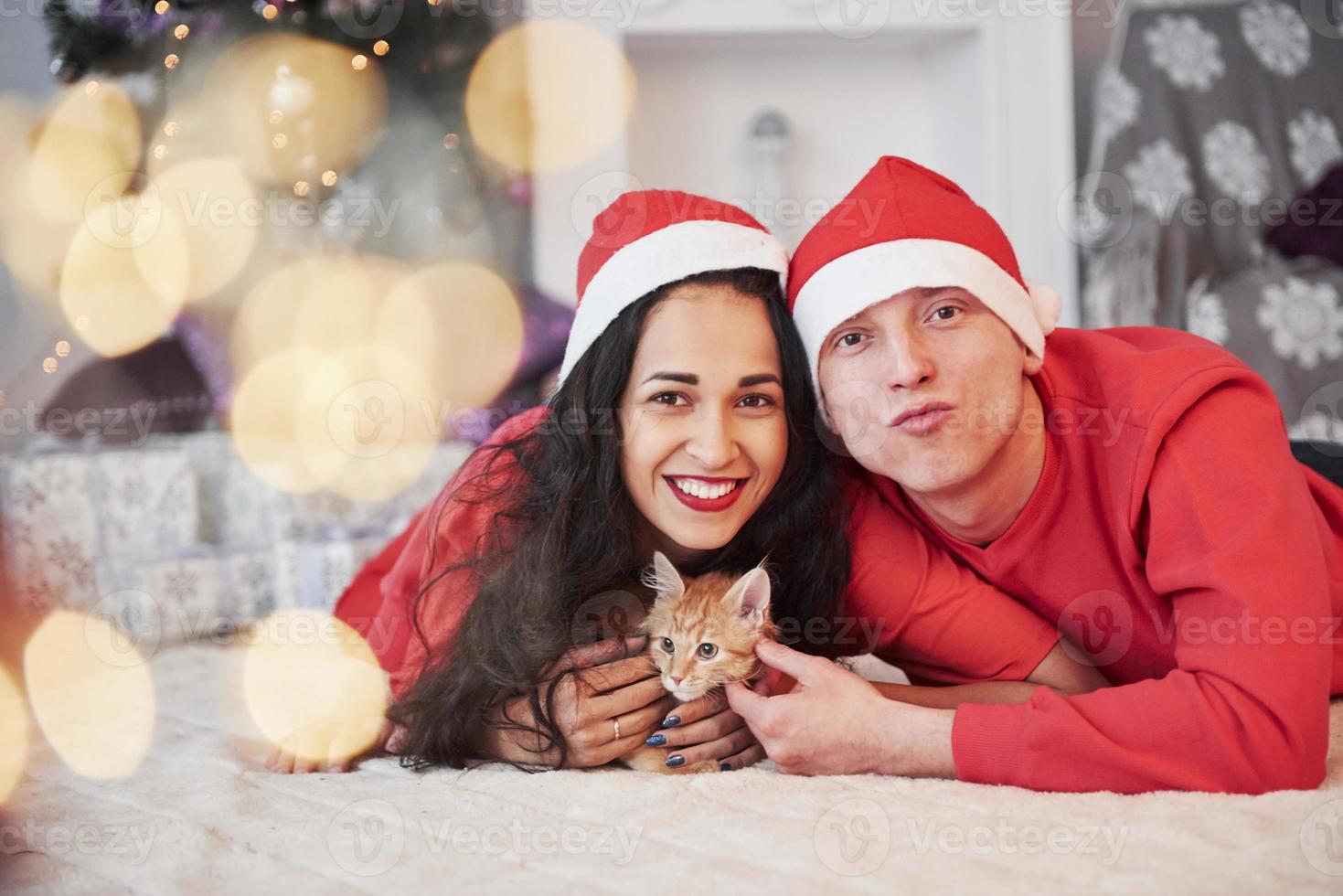 Close up view. Portrait of couple with little kitty celebrates holidays in new year clothes photo