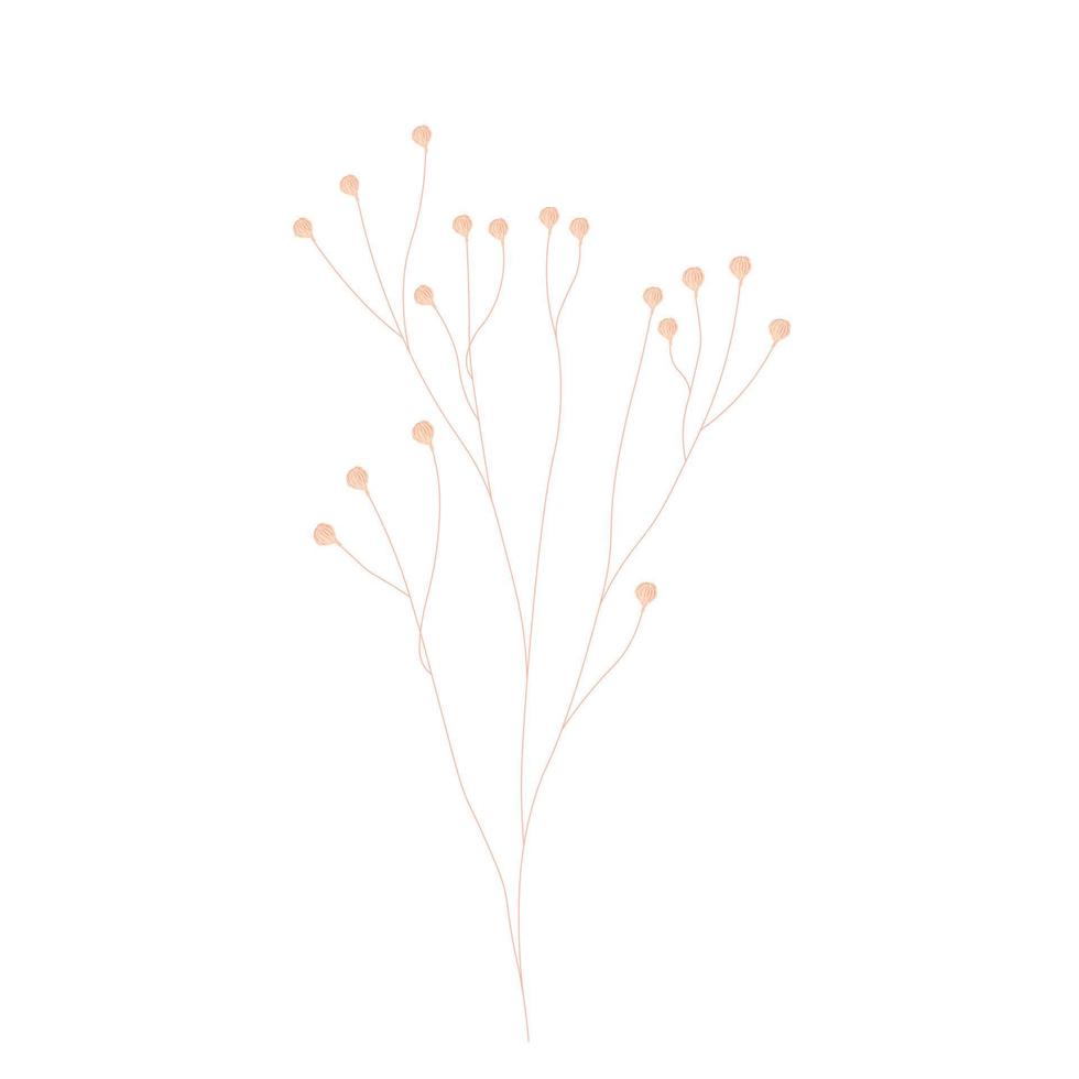 Minimal style. Dry Flowers. Minimum invitation card. Vector stock illustration. Isolated on a white background.
