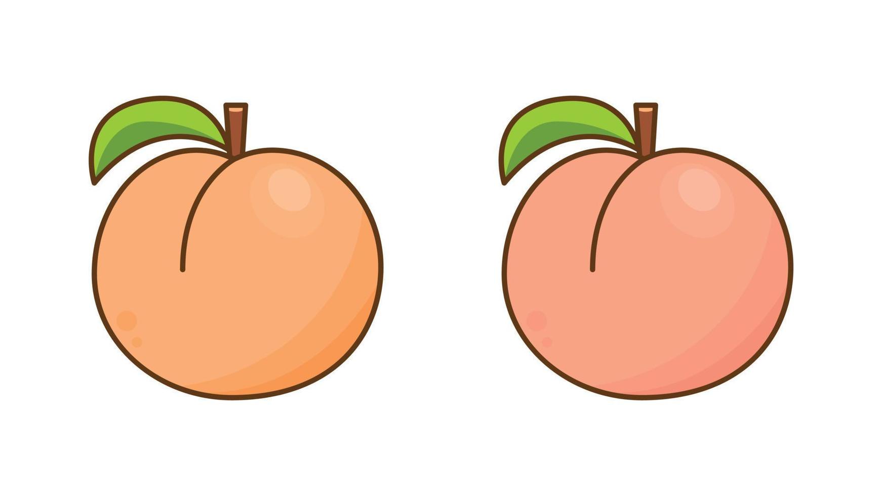 durazno. fruta dulce. iconos vectoriales de melocotón. vector