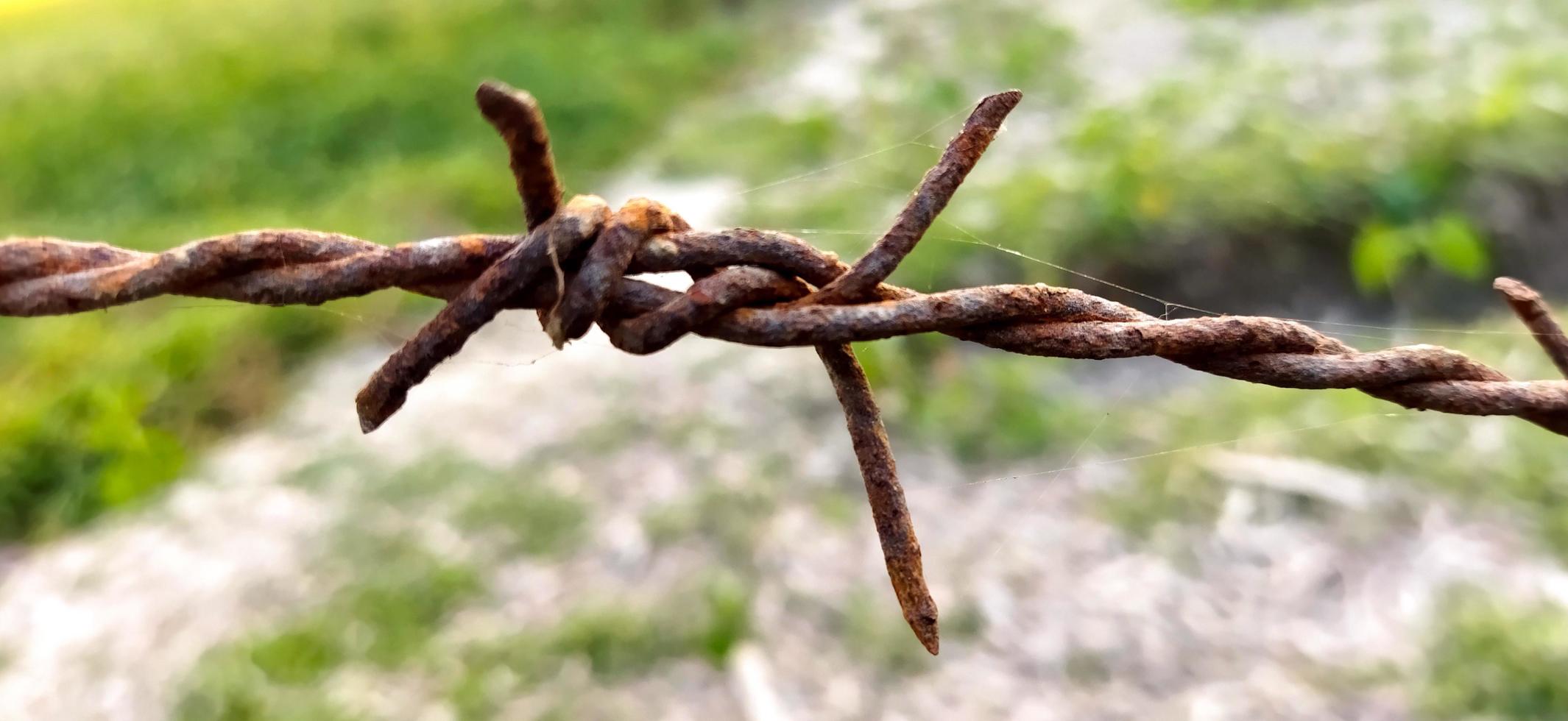 Barbed wire on a farm fence photo