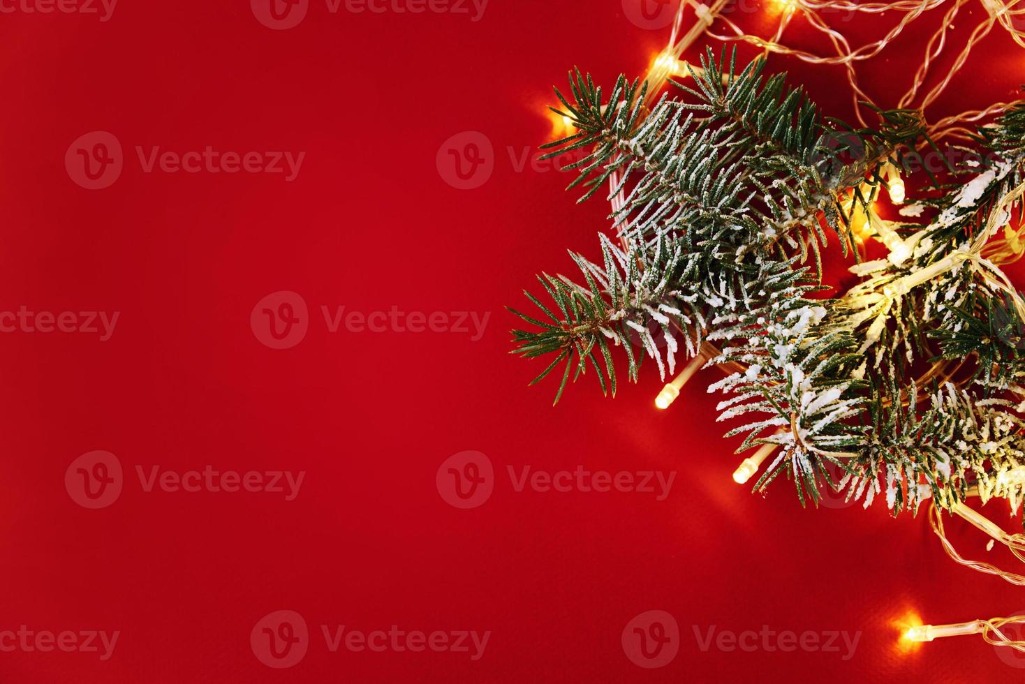 Christmas composition with christmas tree branch aon red background. Copy space photo