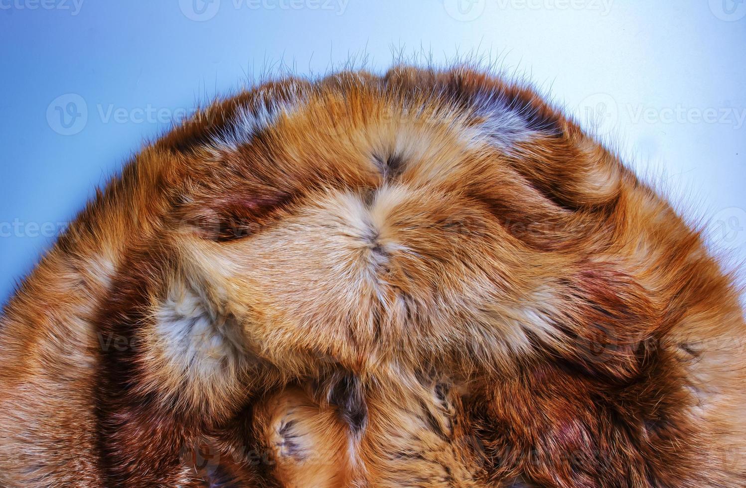 Fox fur close up. Redhead animal fur background, fur pile texture. photo