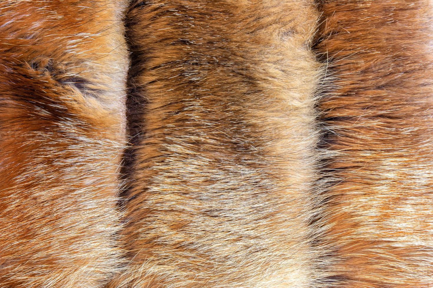 Fox fur close up. Redhead animal fur background, fur pile texture. photo