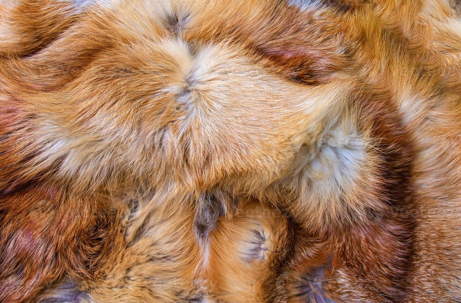 Fox fur close up. Redhead animal fur background, fur pile texture. photo