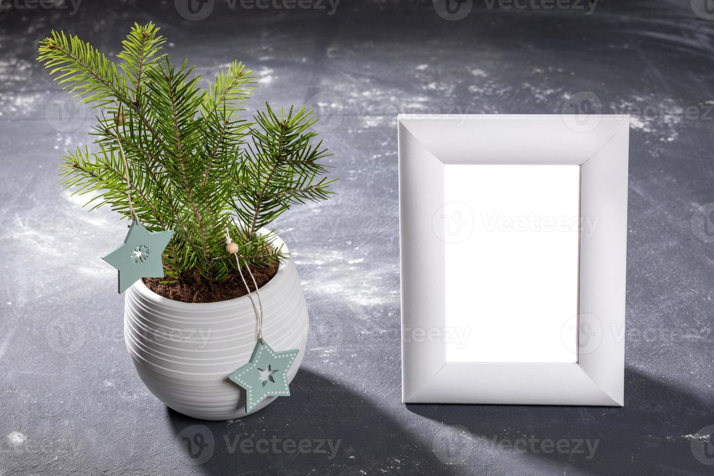 Alternative Xmas tree in white flowerpot and empty white frame for photo on textured black.