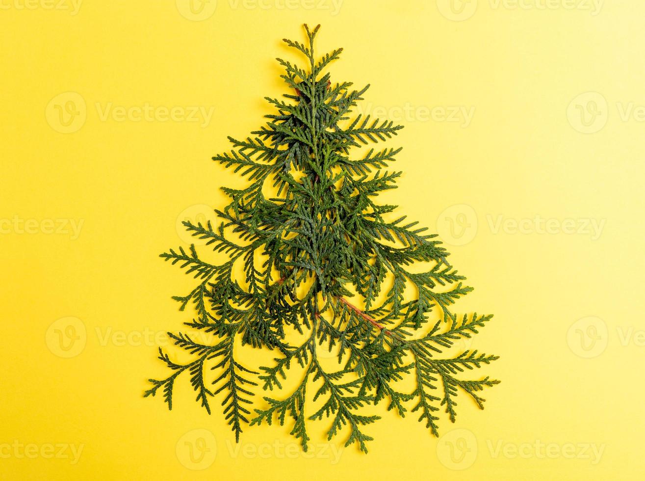 Xmas tree made from green arborvitae branches laid out in center of bright yellow background. photo