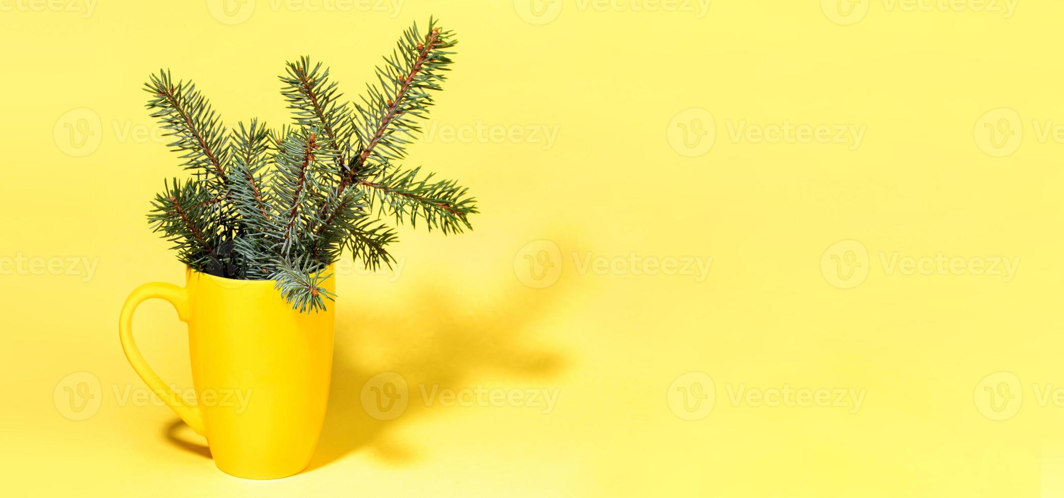 banner mínimo de navidad de invierno en color amarillo con ramitas de abeto verde fresco en taza con sombra. foto