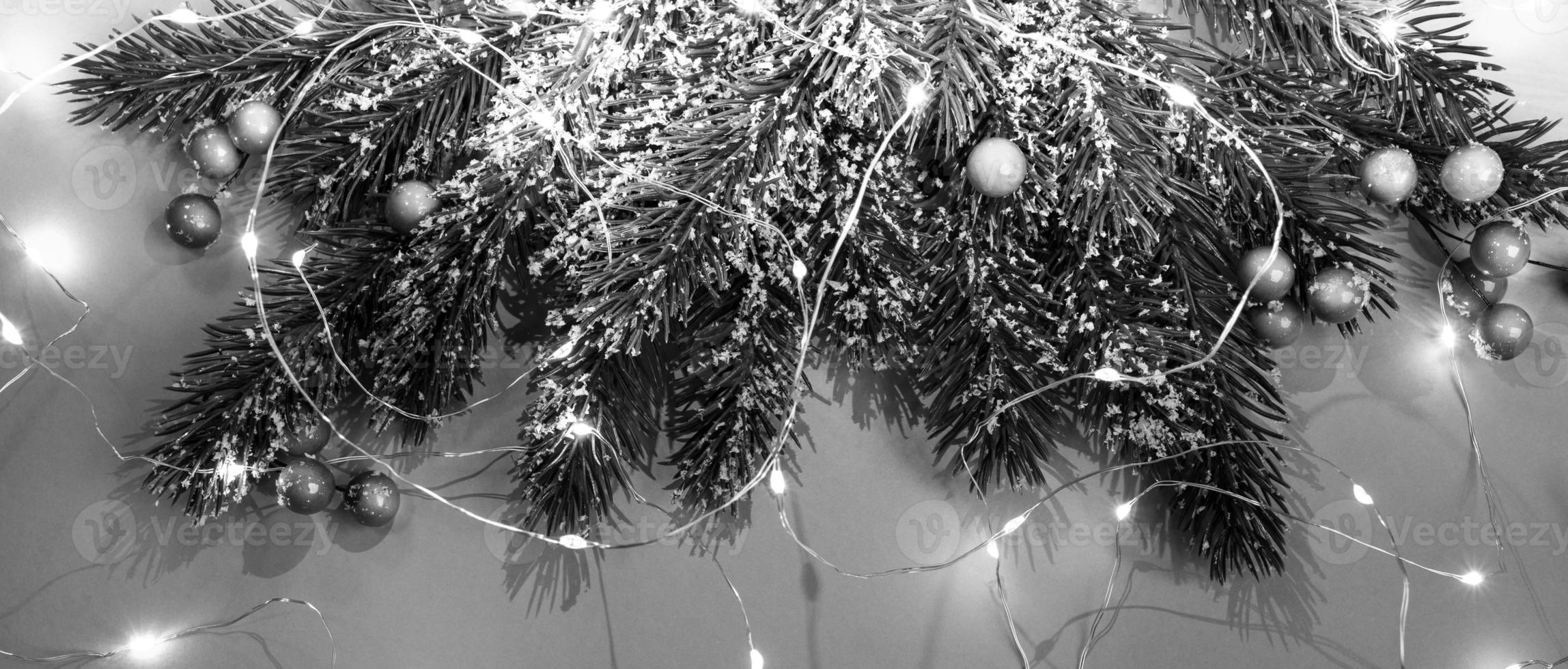 Black and white Xmas festive banner with fir branches, snow, berries, luminous Christmas lights. Top view. photo