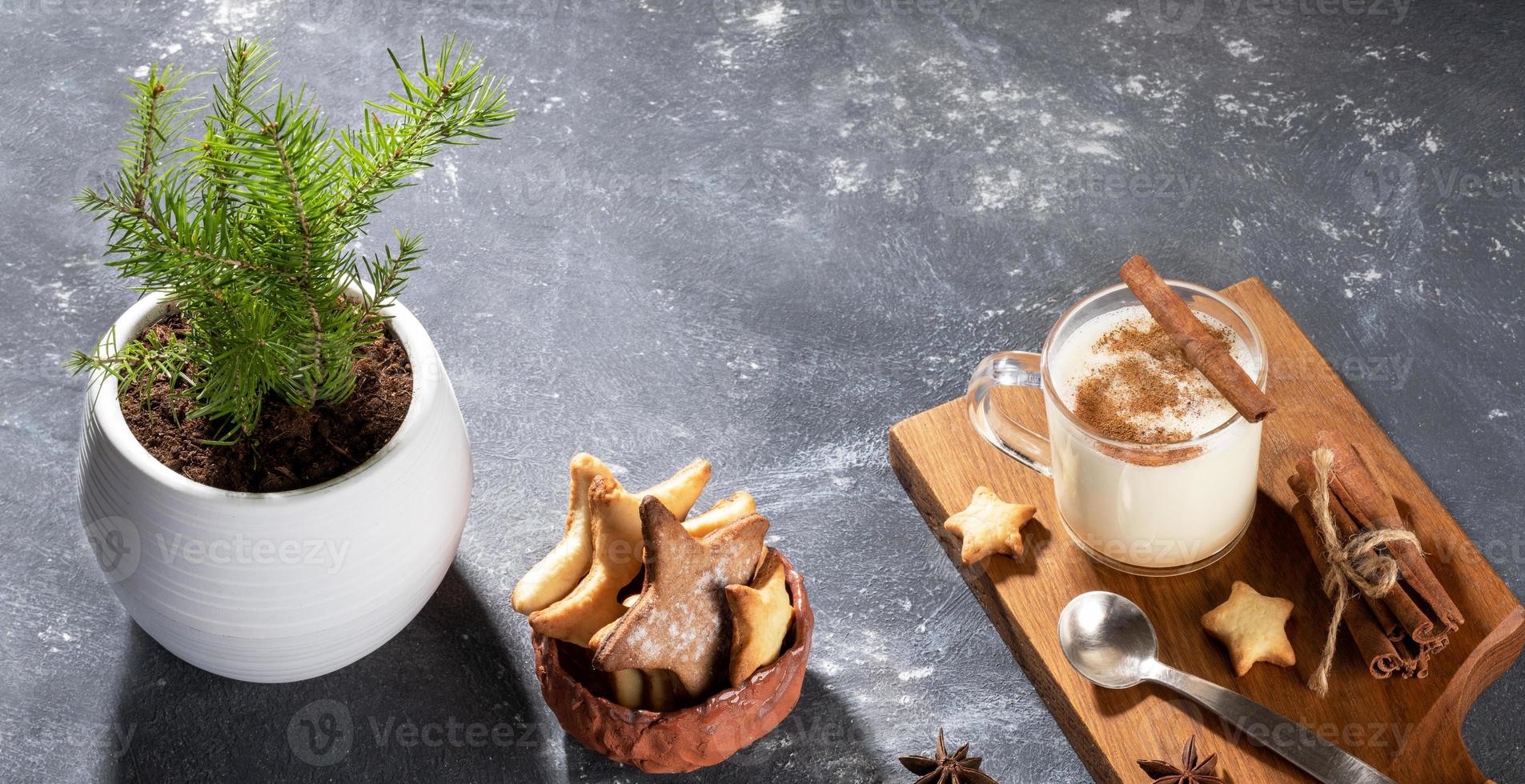Christmas image with eggnog, heart shape cookies and alternative Xmas tree in flowerpot on grey. photo